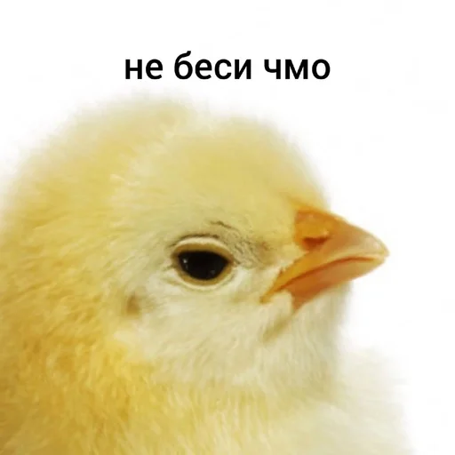 😡 Sticker #19 from я добрая