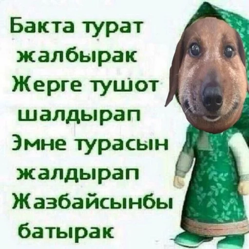 🐶 Sticker from ЕБАНУТАЯ СОБАКА
