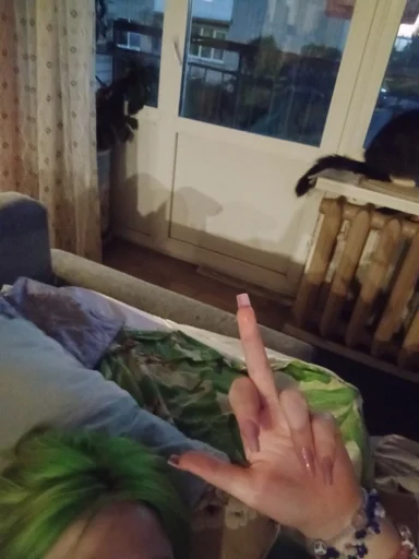 🖕 Sticker from I love Bang Chan