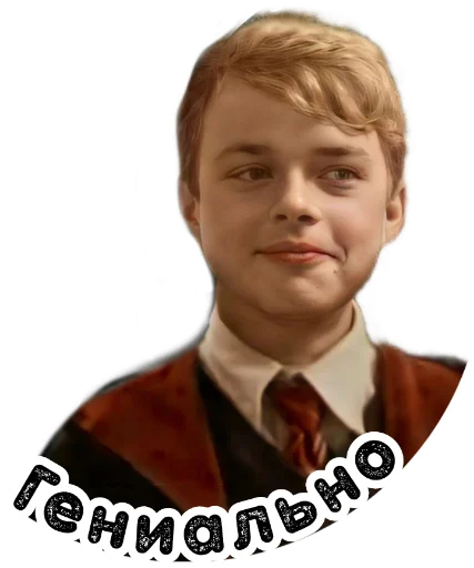 🙃 Sticker from Мародёры @stickers_HarryPotter