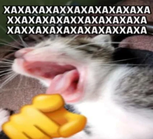 🌟 Sticker from Агро котики