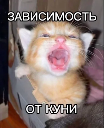 👅 Sticker #12 from вафля