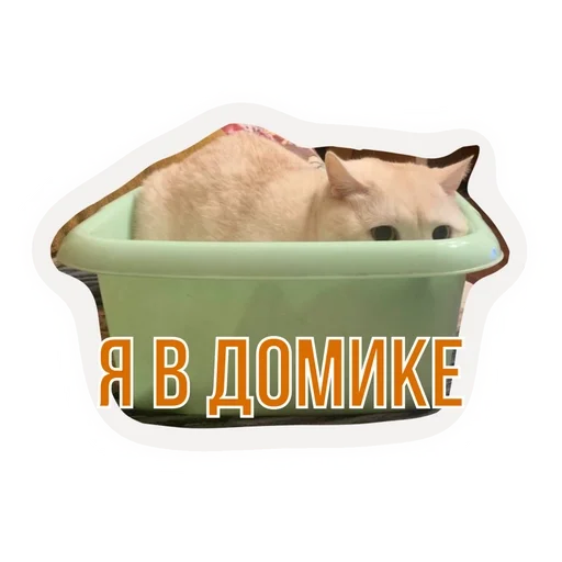 🌟 Sticker #9 from Бусенки