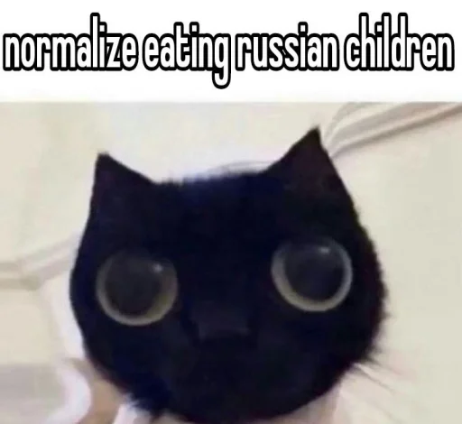 🥺 Sticker from КОТИСЬКО та компанія