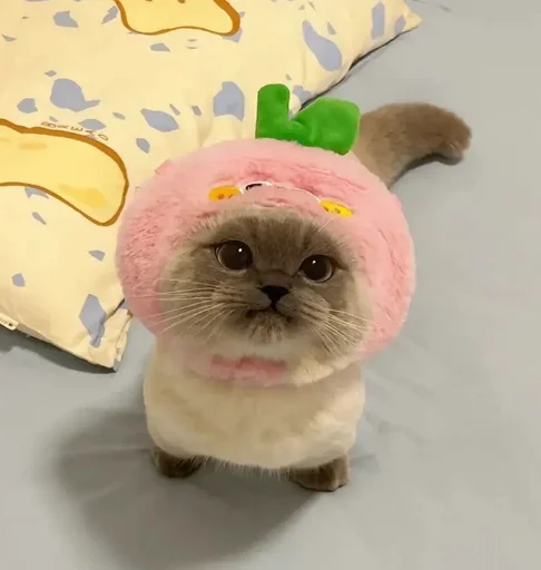 🍑 Sticker #18 from письки продолжение