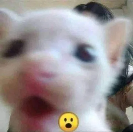 😧 Sticker #20 from котеки