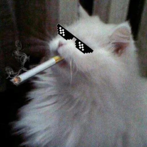 🚬 Sticker #14 from Хагги Вагги