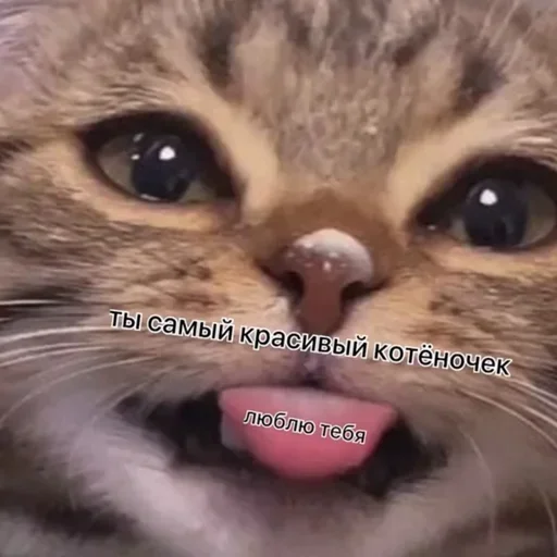 ♥️ Sticker #5 from Люби меня такой какая я есть