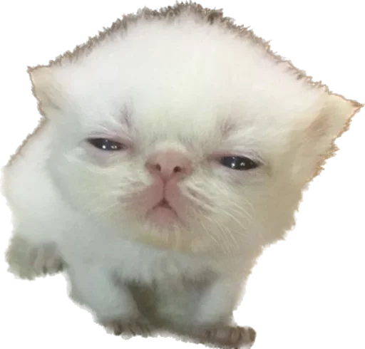 😑 Sticker #24 from Пес Патрон найкращий
