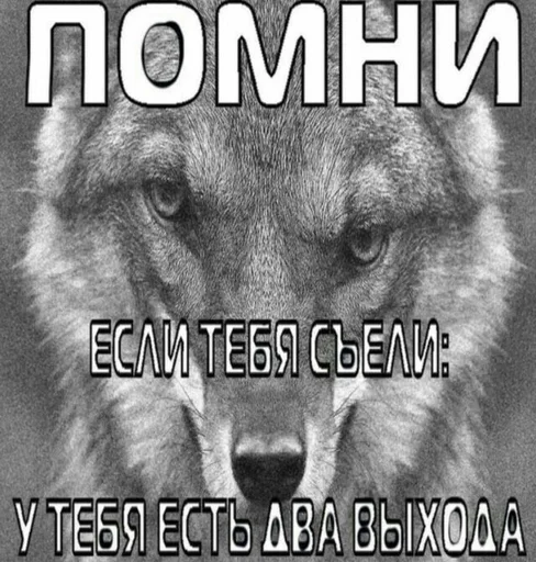 😵 Sticker from Meme's
