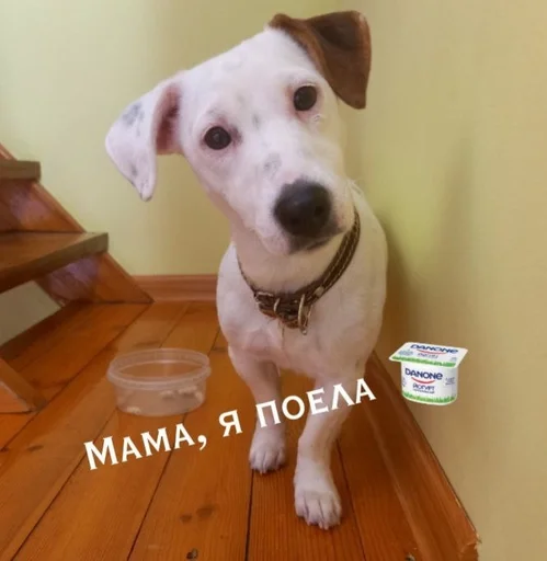 😋 Sticker from Шерри топ