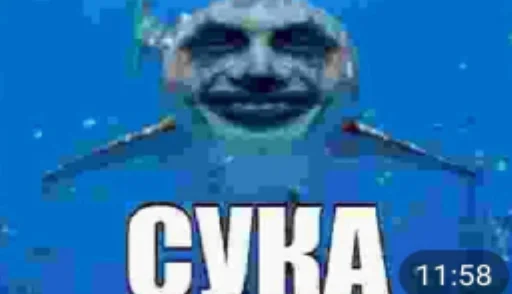🦈 Sticker from Туфта ипаная | @VKOGO9
