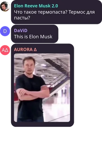 🧨 Sticker from Elon Musk