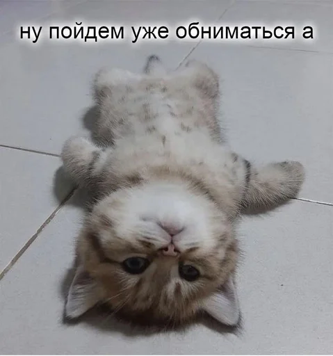 🥺 Sticker from для нас двоих😏