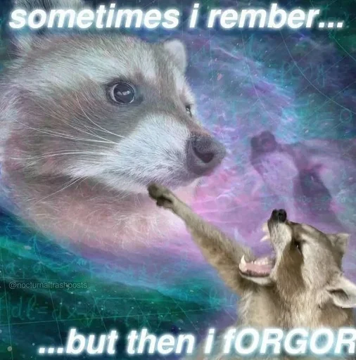 🦝 Sticker #11 from raccoon core