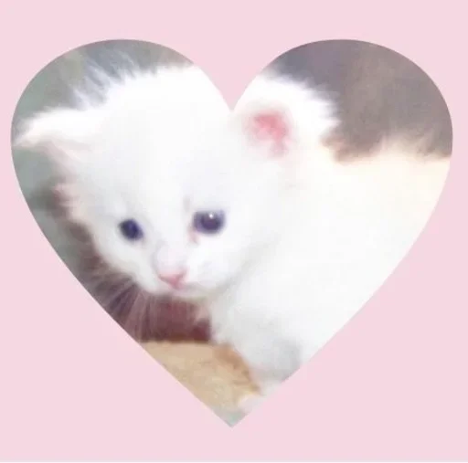 💗 Sticker #3 from линчик’s cutie