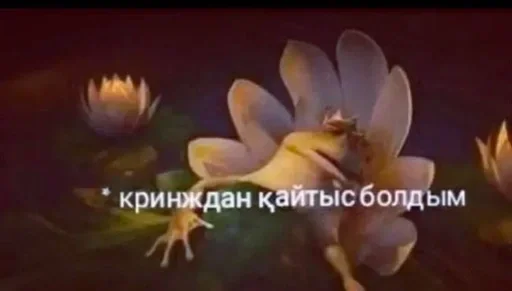 🫠 Sticker from жуля