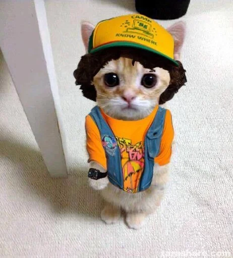 😺 Sticker from ХАГИ ВАГИ ЗАБИВНОЙ