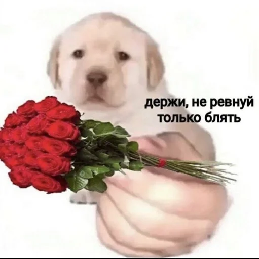 🍓 Sticker from Нэйт