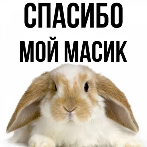 🙃 Sticker #16 from тюбики,масики,мужчинки