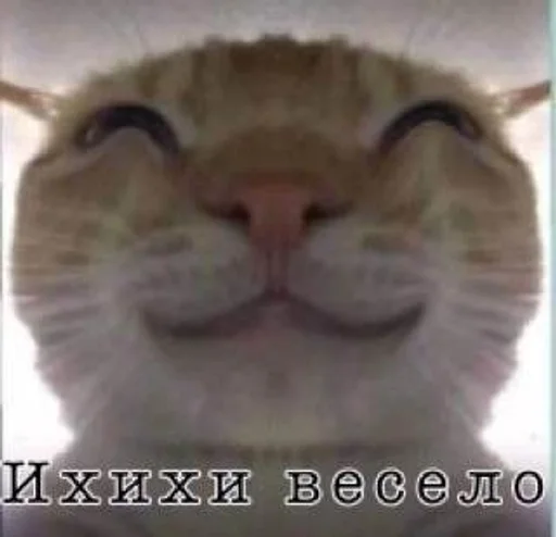 🌟 Sticker #13 from Важные переговоры