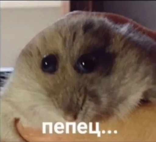 😵‍💫 Sticker #20 from Важные переговоры