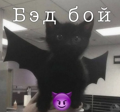 🌟 Sticker #9 from Важные переговоры