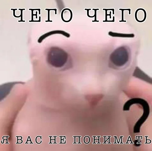 🌟 Sticker #17 from Важные переговоры