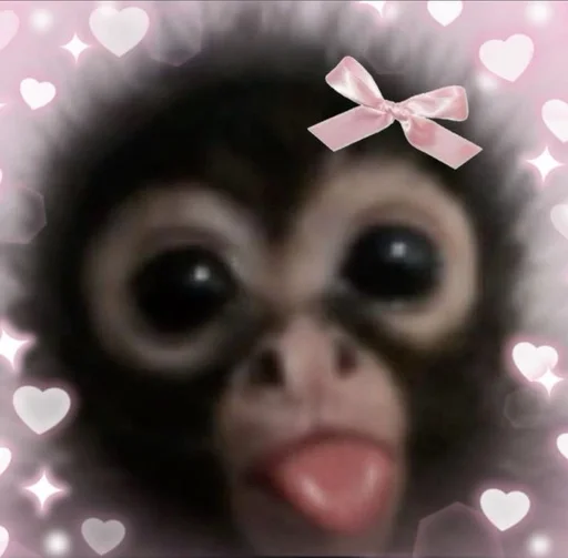 🌟 Sticker #5 from Monkey