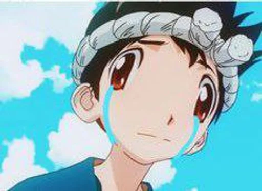 😭 Sticker from ДОКТОР СТОУН