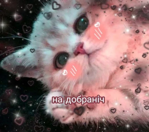 😴 Sticker #10 from Цирк
