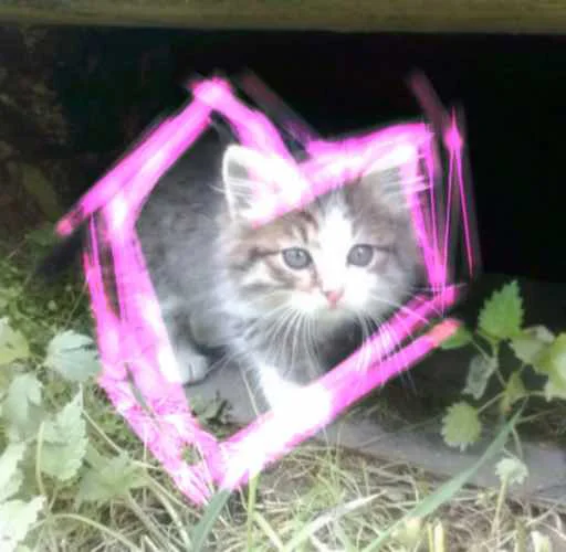 💜 Sticker #8 from стикеры для самых красивых девочек