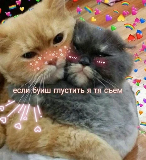 🐱 Sticker #6 from 💍Skopnox💍