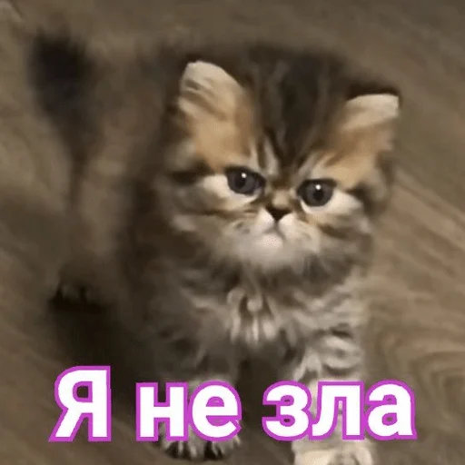 😾 Sticker from Хуйлуша