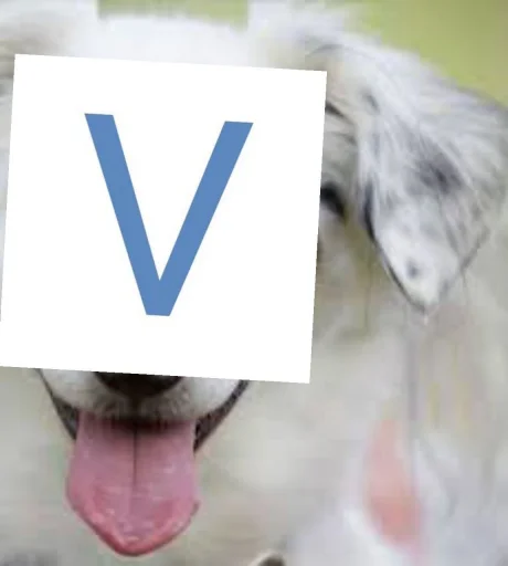 🐶 Sticker #15 from The V Programming Language
