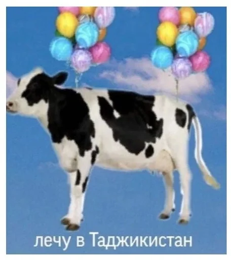 🤑 Sticker #6 from не але