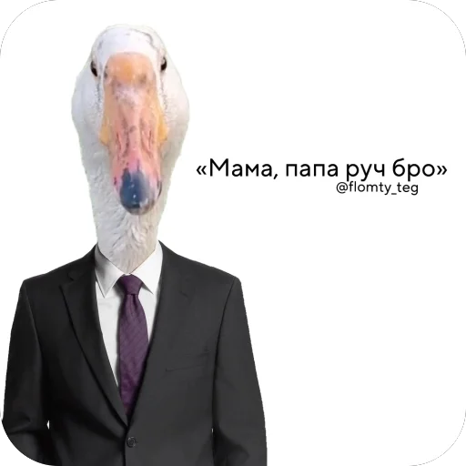 🫥 Sticker from Наш слон • @flomty_teg