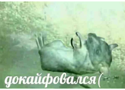 😣 Sticker #4 from прикольчики от полечки