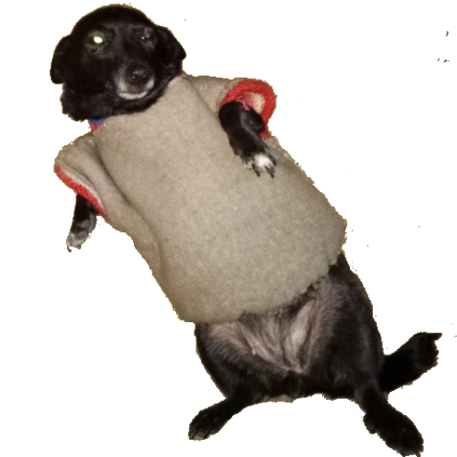 🐶 emoji X y z Telegram sticker 8 of 8