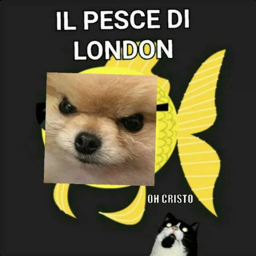 😎 Sticker #1 from The London Pack
