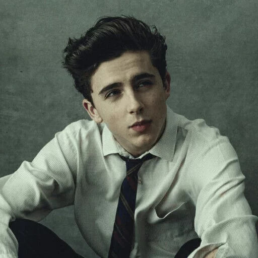 😒 Sticker from -Timothée Chalamet💕 @Timothee