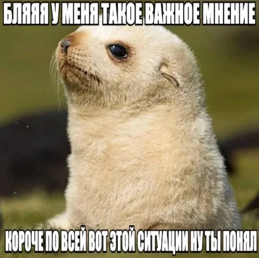 🌟 Sticker from Здравствуйте, до свидания