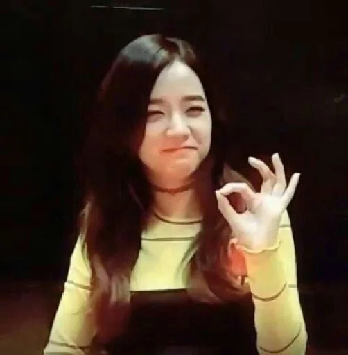 🗿 Sticker #17 from BLACKPINK
