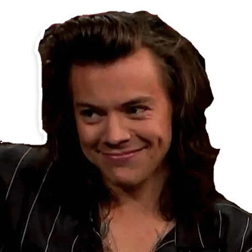 😏 Sticker from Harry Styles