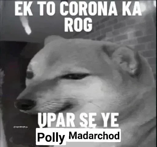 😒 Sticker #21 from Madarchod log