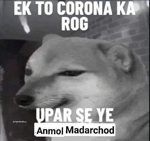 😒 Sticker #19 from Madarchod log