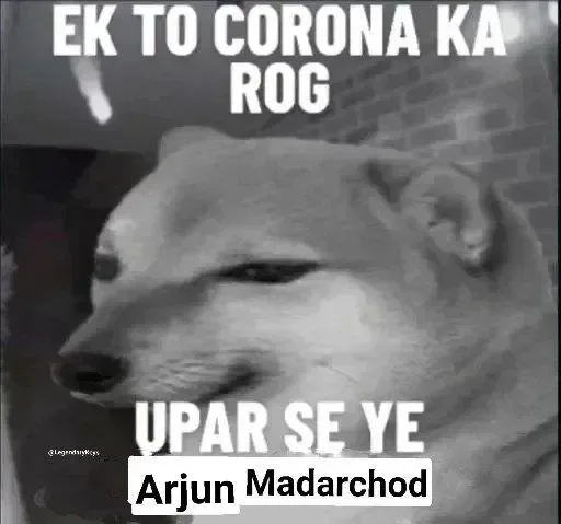 😒 Sticker #24 from Madarchod log