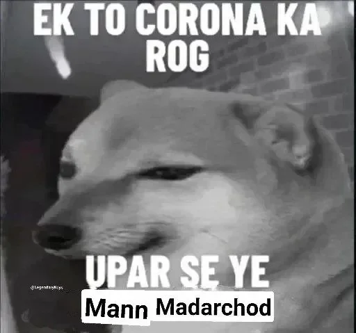 😒 Sticker #15 from Madarchod log