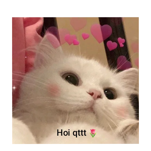 🐱 Sticker from Indigo skies stickers pack 🪻