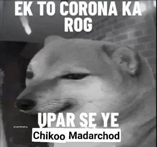 😒 Sticker #13 from Madarchod log